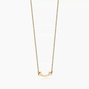 Tiffany & Co. Gold Chain Necklace